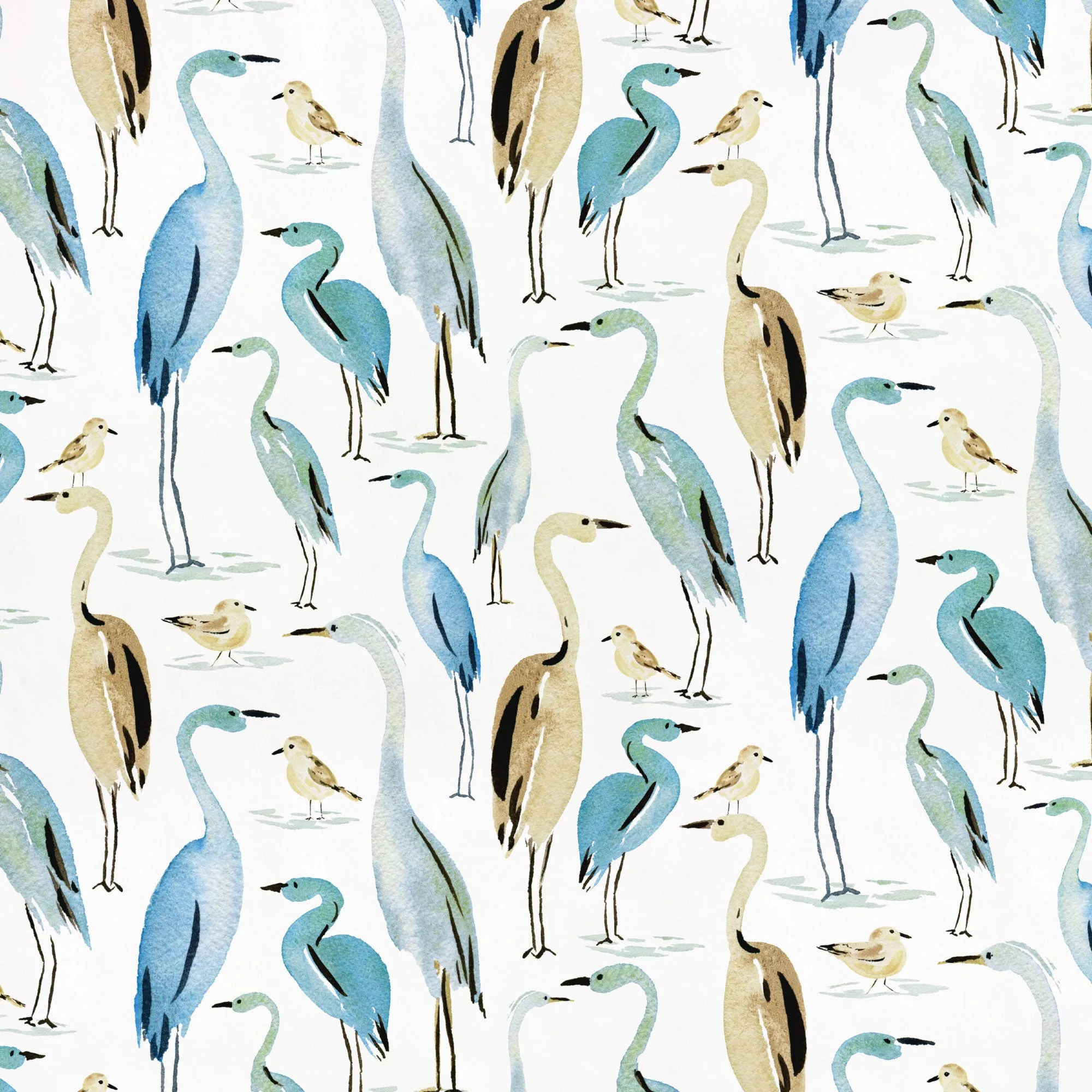Coastal Birds | Weekend Getaway
