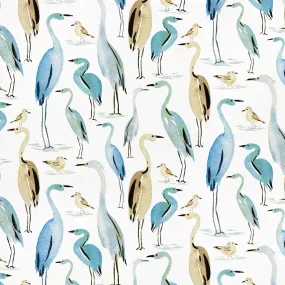 Coastal Birds | Weekend Getaway