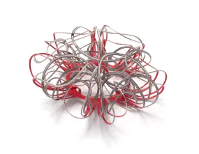 Orchaota Brooch